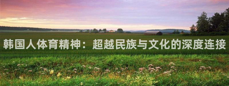 韩国人体育精神：超越民族与文化的深度连接