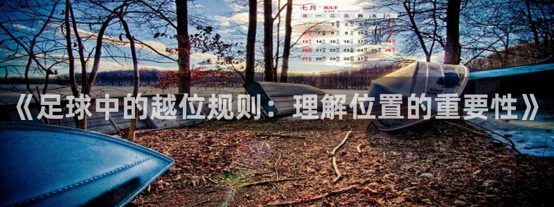 《足球中的越位规则：理解位置的重要性》