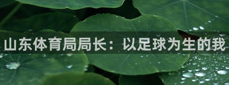 山东体育局局长：以足球为生的我