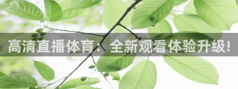 高清直播体育：全新观看体验升级!