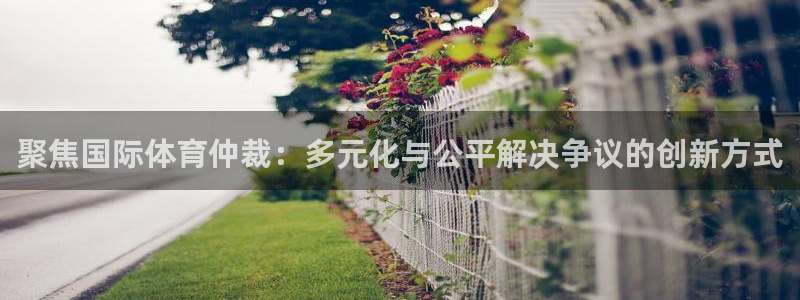 聚焦国际体育仲裁：多元化与公平解决争议的创新方式