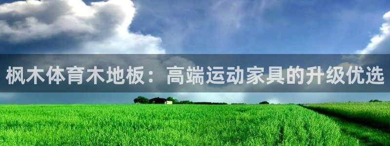 枫木体育木地板：高端运动家具的升级优选