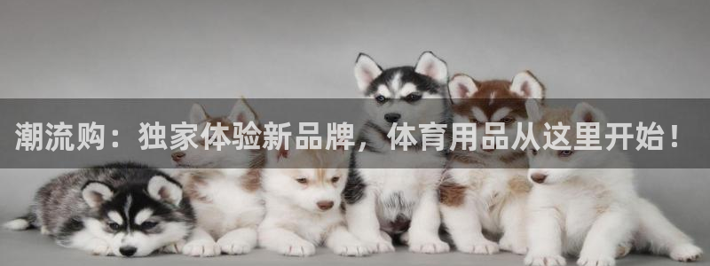 潮流购：独家体验新品牌，体育用品从这里开始！