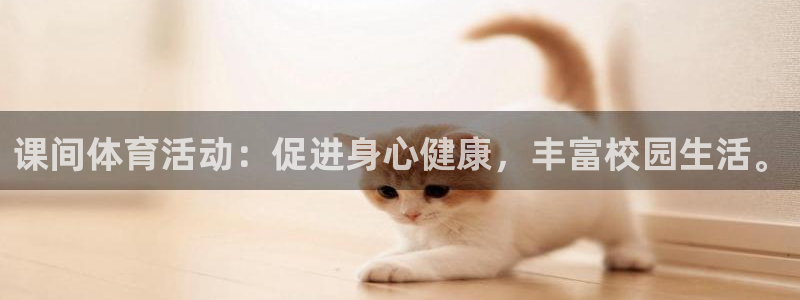 课间体育活动：促进身心健康，丰富校园生活。