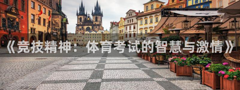 《竞技精神：体育考试的智慧与激情》
