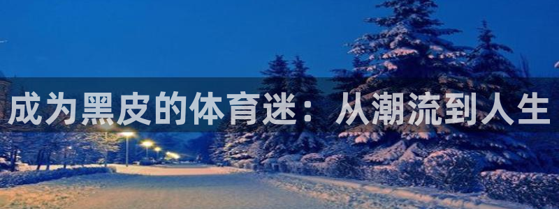 成为黑皮的体育迷：从潮流到人生