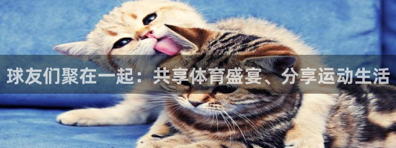 球友们聚在一起：共享体育盛宴、分享运动生活