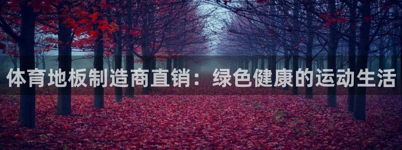 体育地板制造商直销：绿色健康的运动生活