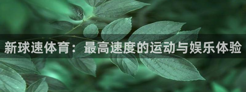 新球速体育：最高速度的运动与娱乐体验