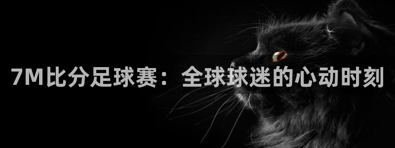 7M比分足球赛：全球球迷的心动时刻